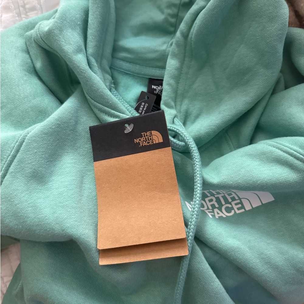 The North Face Aqua Hoodie NWT